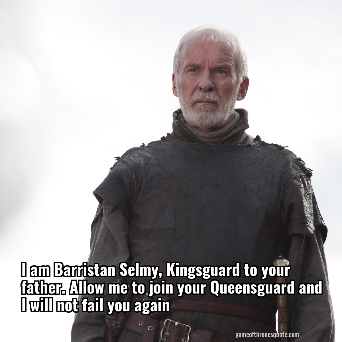 I am Barristan Selmy, Kingsguard to your father. Allow me to join your Queensguard and I will not fail you again

