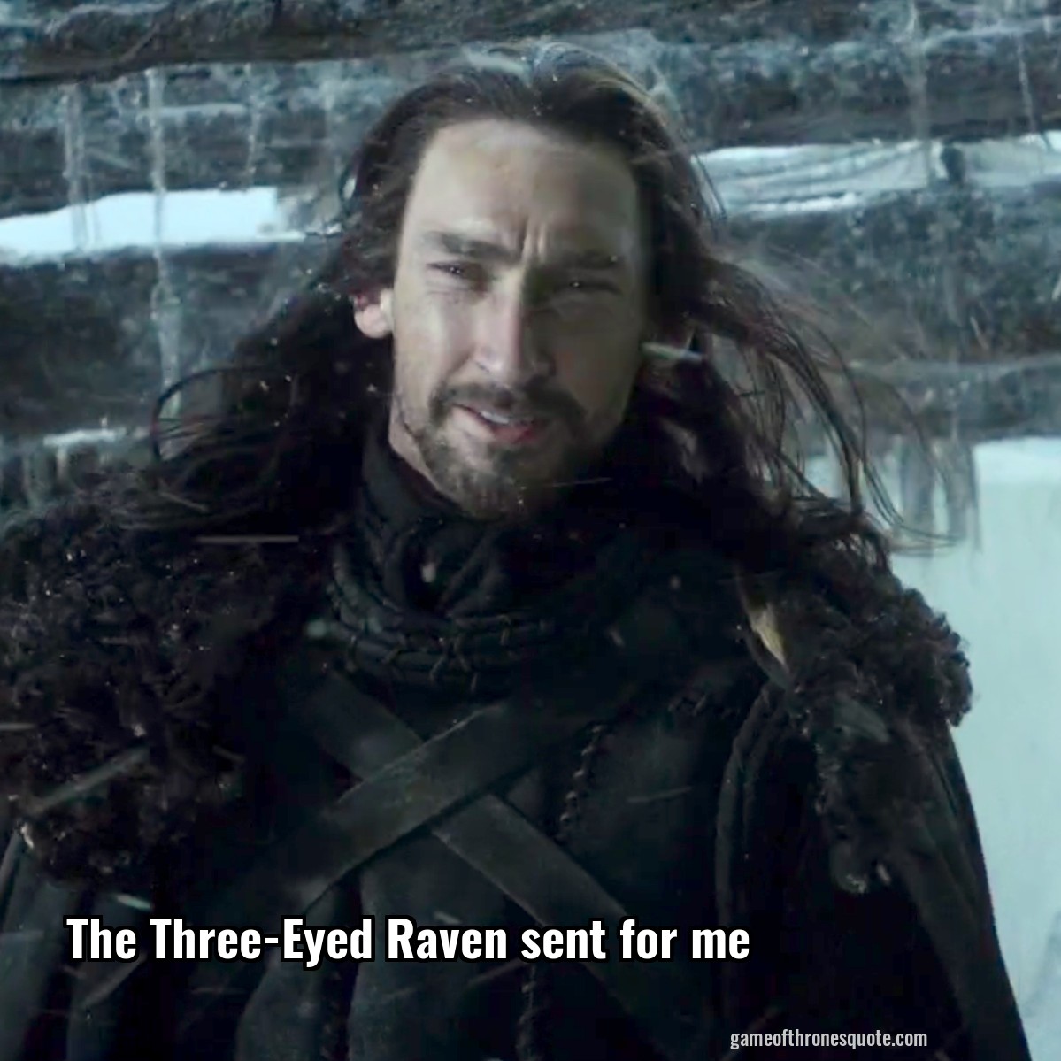 The Three-Eyed Raven sent for me