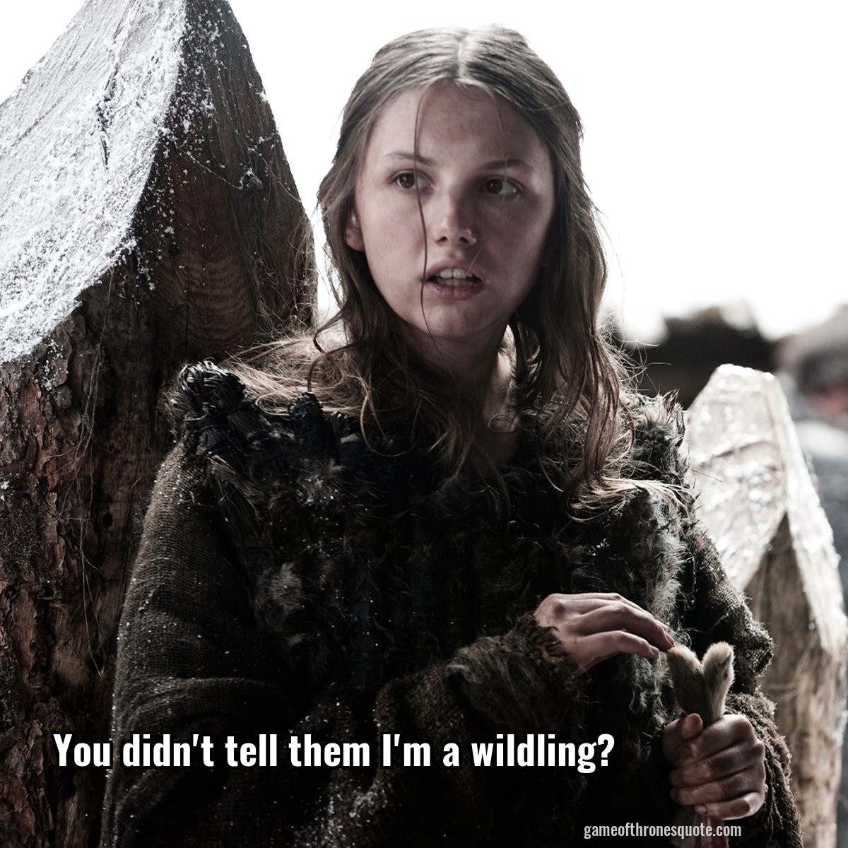 You didn't tell them I'm a wildling?