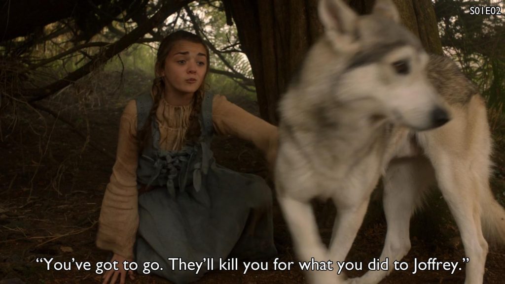 arya-nymeria