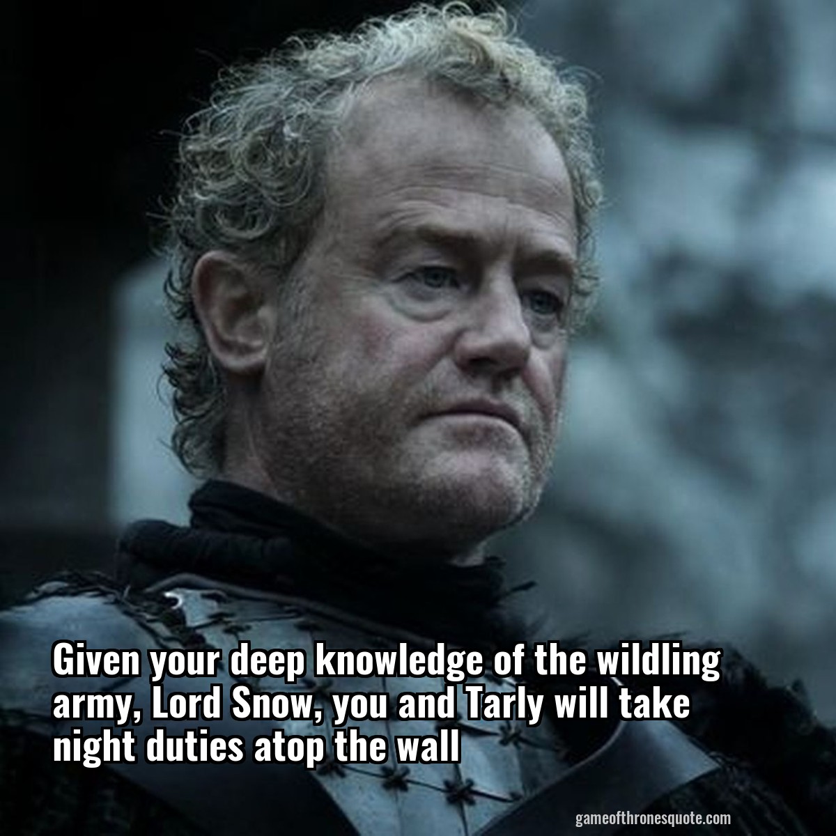 Given your deep knowledge of the wildling army, Lord Snow, you and Tarly will take night duties atop the wall