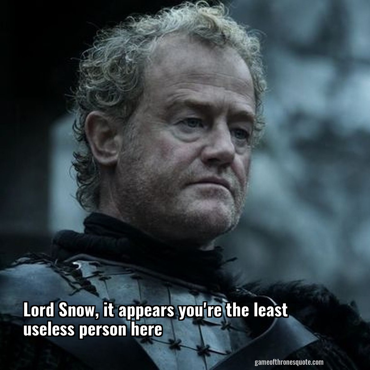 Lord Snow, it appears you're the least useless person here