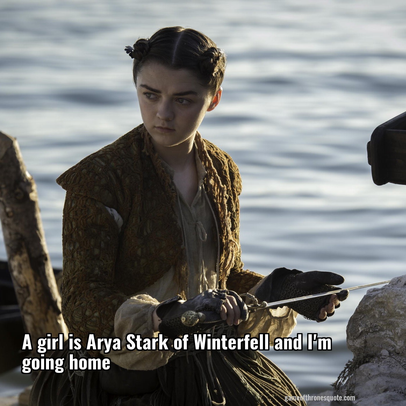 A girl is Arya Stark of Winterfell and I'm going home