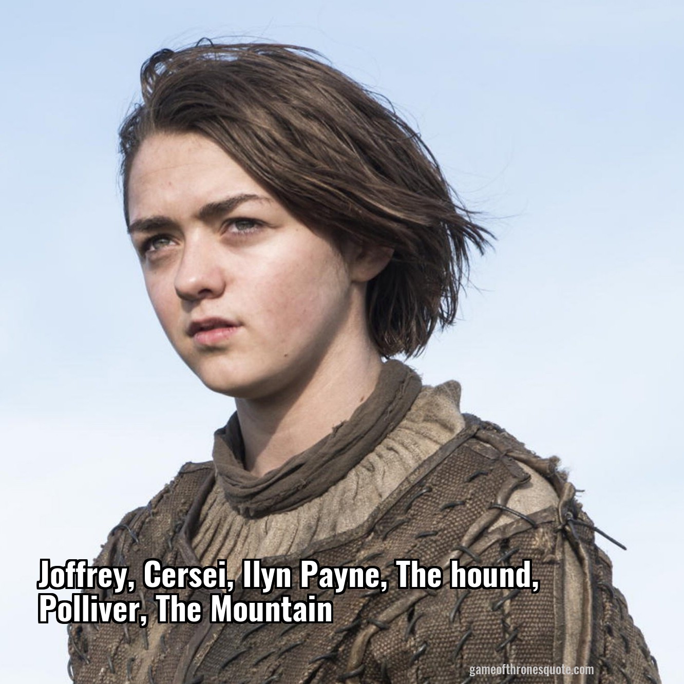 Joffrey, Cersei, Ilyn Payne, The hound, Polliver, The Mountain