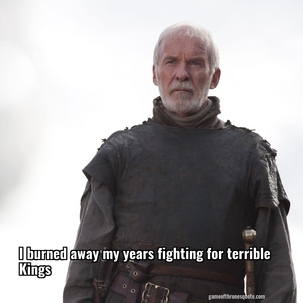 I burned away my years fighting for terrible Kings