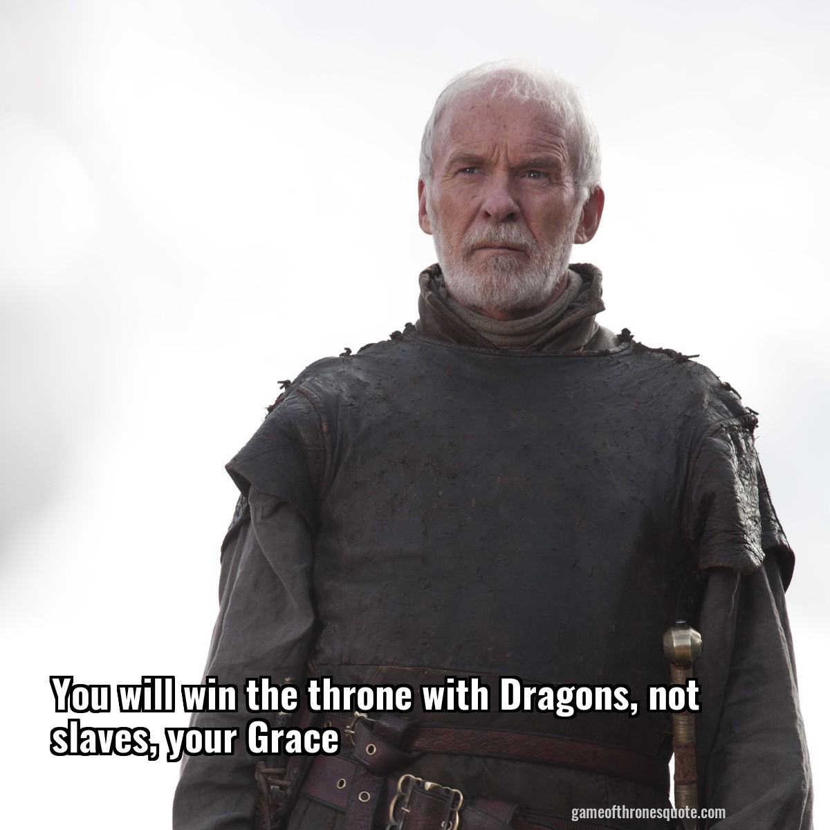 You will win the throne with Dragons, not slaves, your Grace