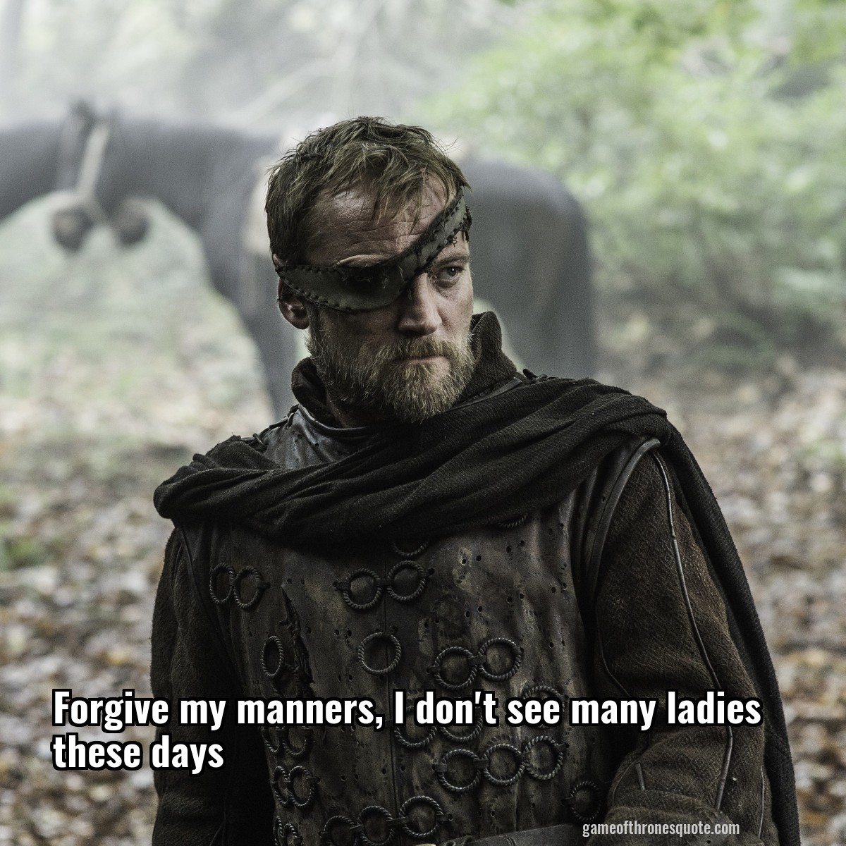 Forgive my manners, I don't see many ladies these days