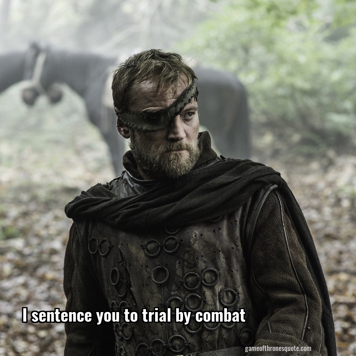 I sentence you to trial by combat
