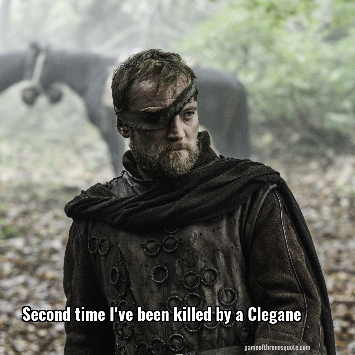 Second time I've been killed by a Clegane