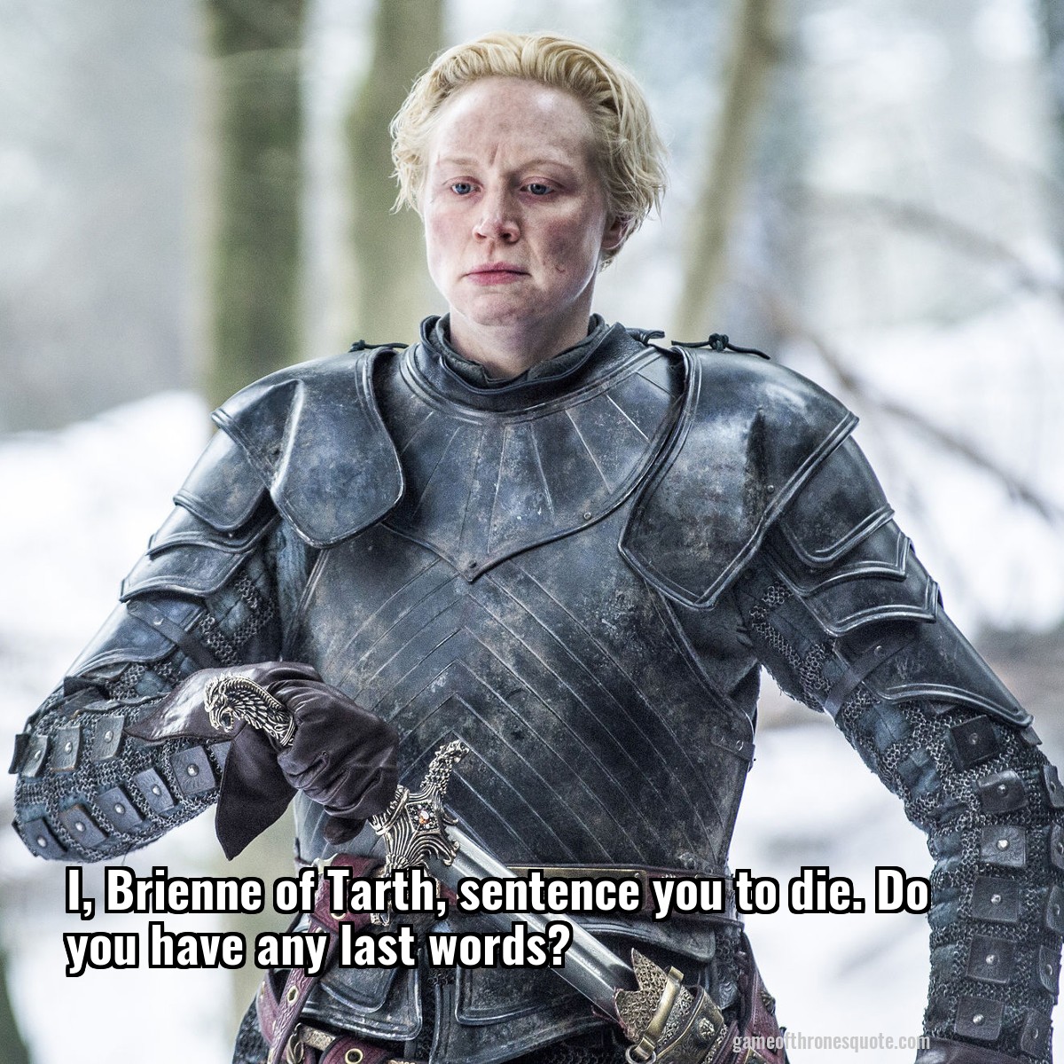 I, Brienne of Tarth, sentence you to die. Do you have any last words?