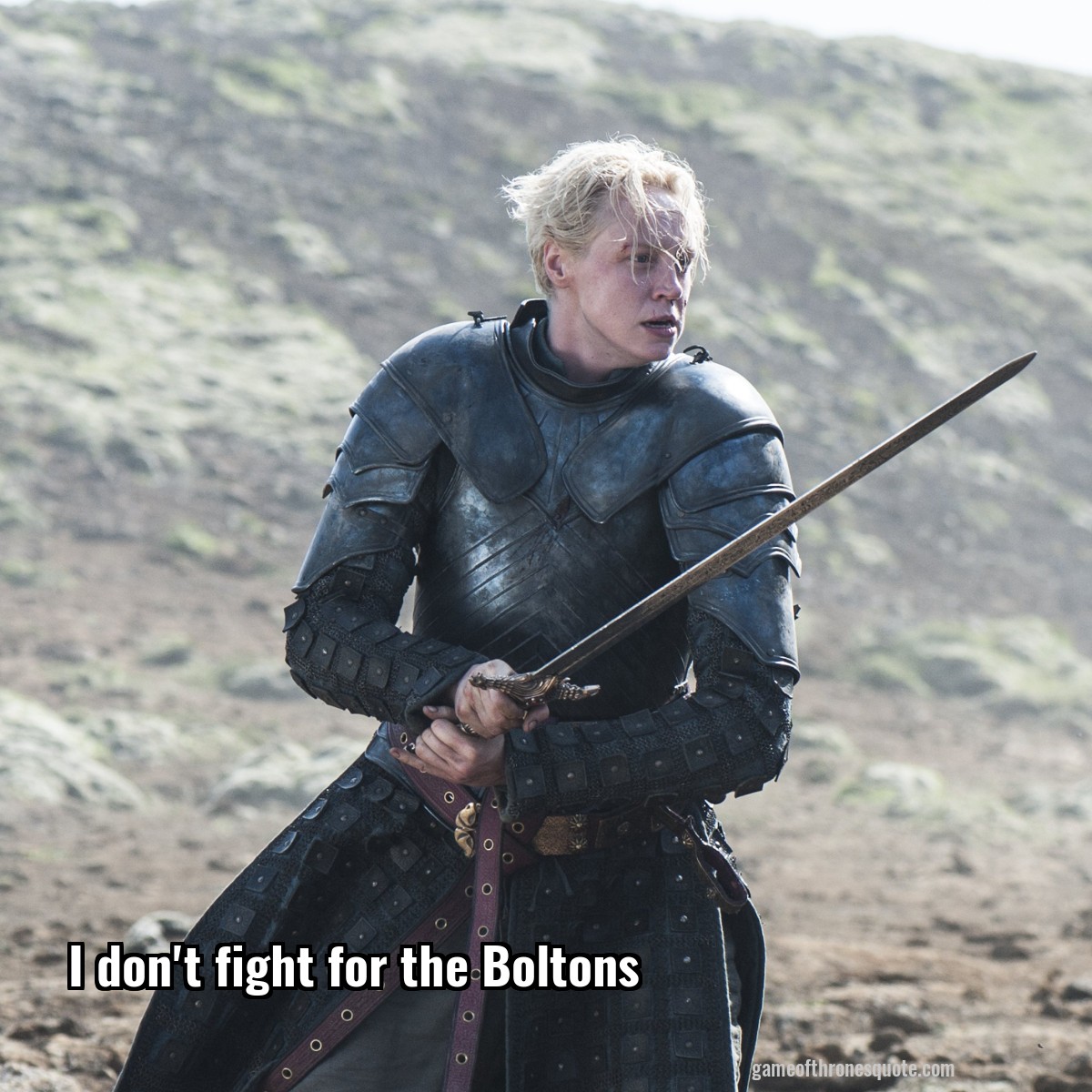 I don't fight for the Boltons