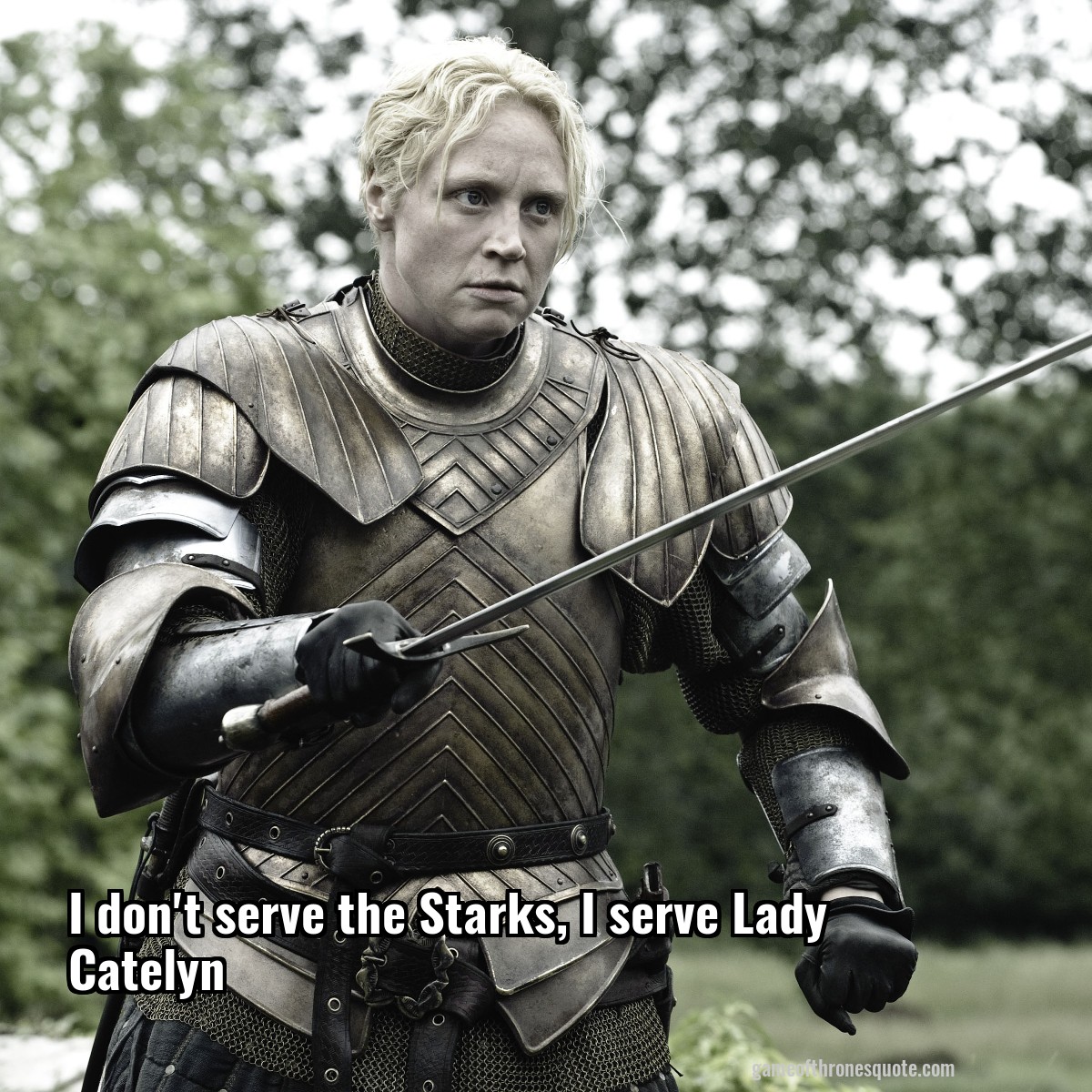 I don't serve the Starks, I serve Lady Catelyn