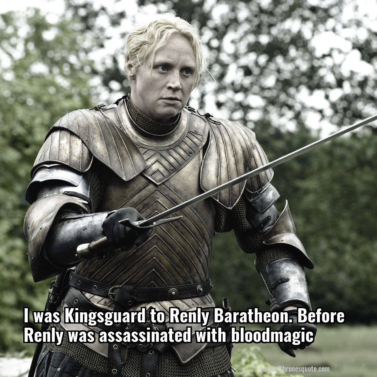 I was Kingsguard to Renly Baratheon. Before Renly was assassinated with bloodmagic