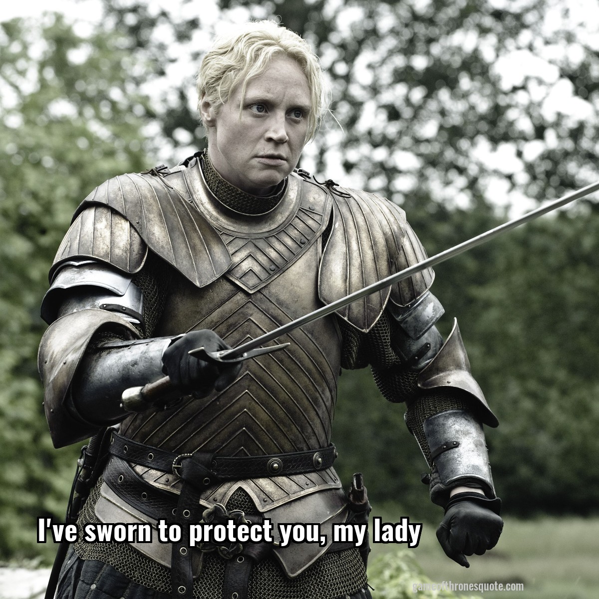 I've sworn to protect you, my lady
