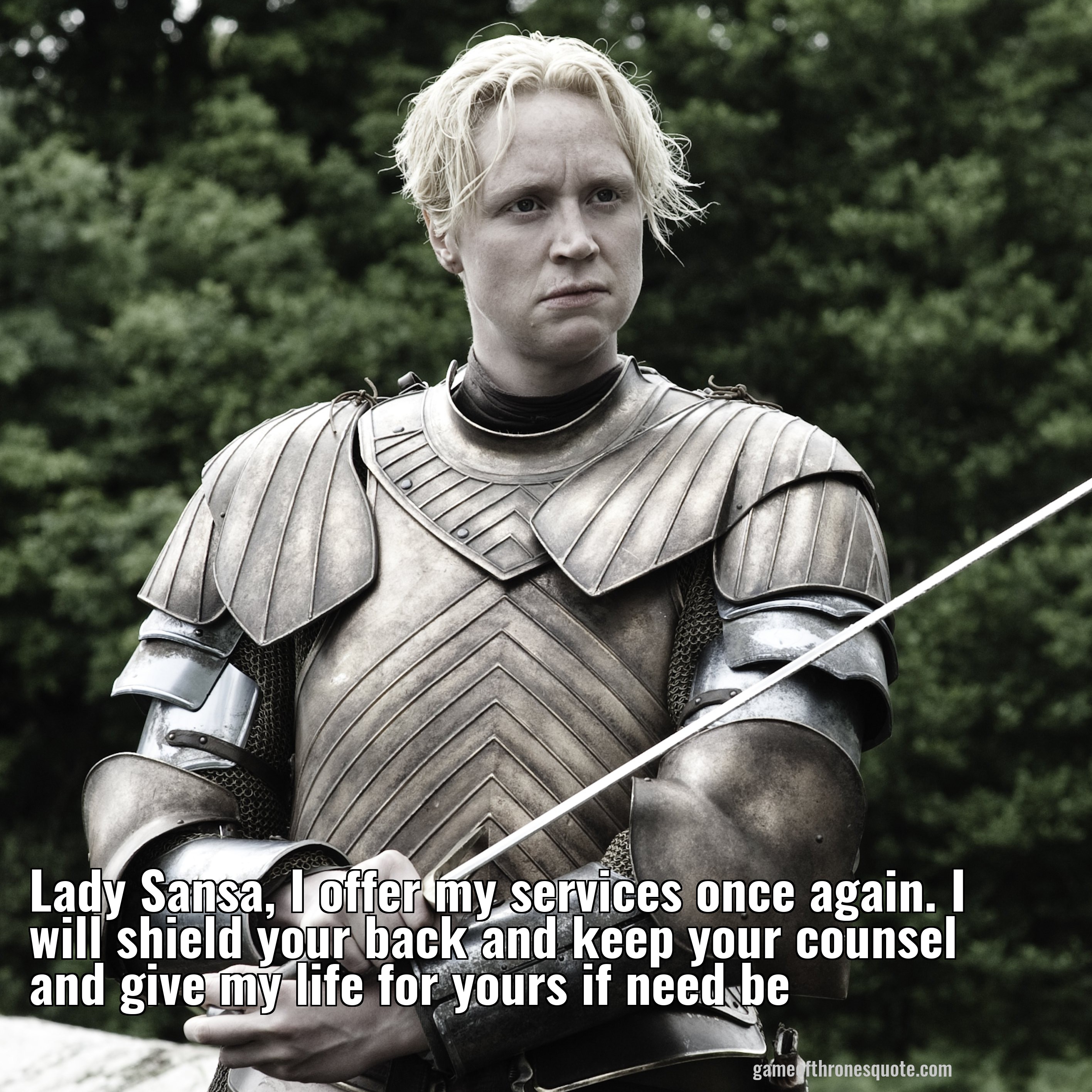 Lady Sansa, I offer my services once again. I will shield your back and keep your counsel and give my life for yours if need be