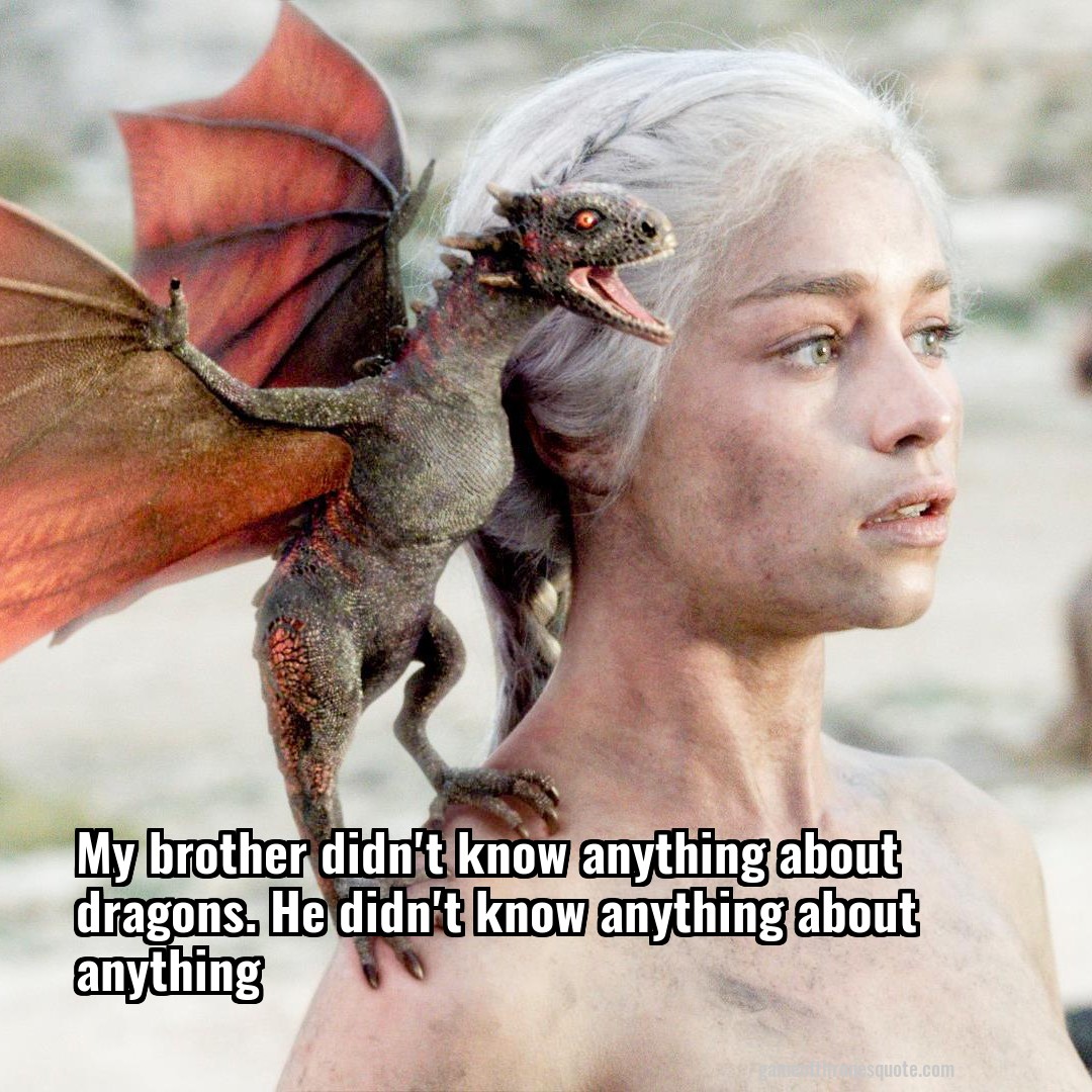 My brother didn't know anything about dragons. He didn't know anything about anything