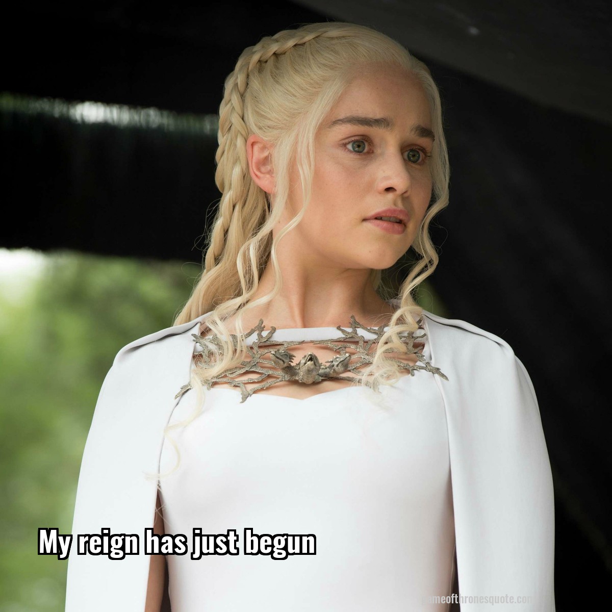 My reign has just begun