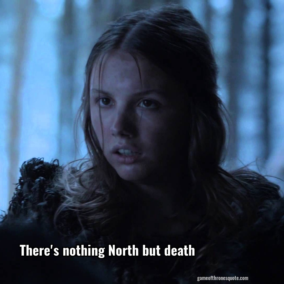There's nothing North but death