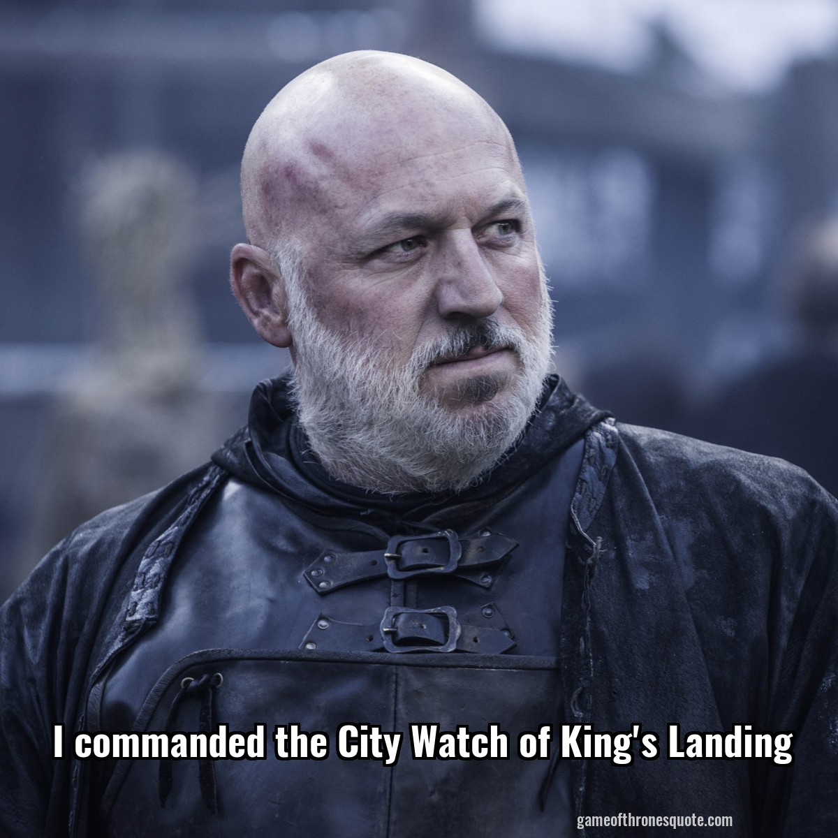 I commanded the City Watch of King's Landing