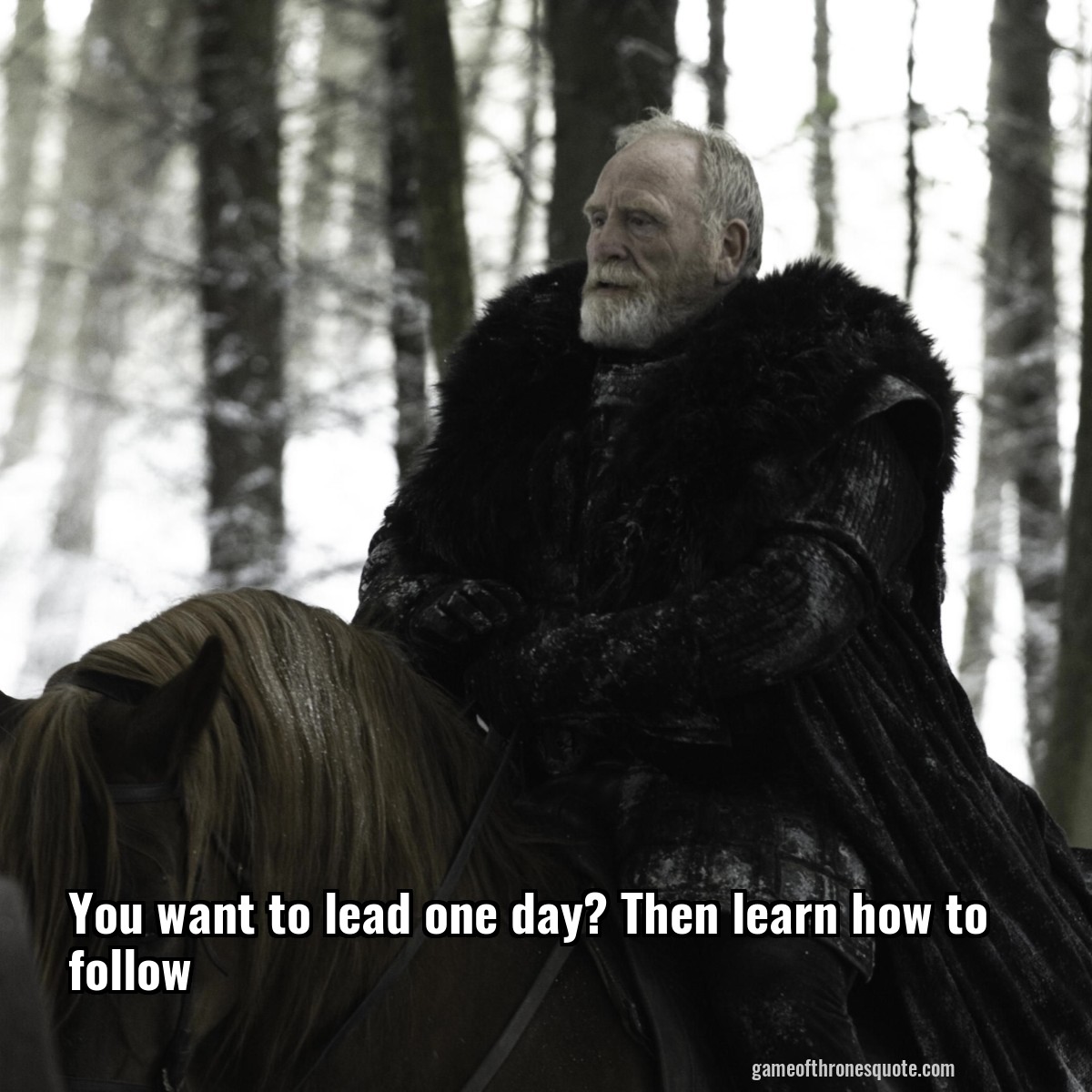 You want to lead one day? Then learn how to follow