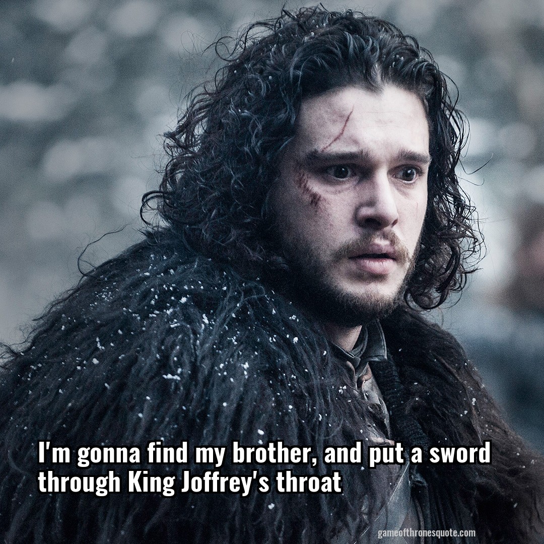 I'm gonna find my brother, and put a sword through King Joffrey's throat