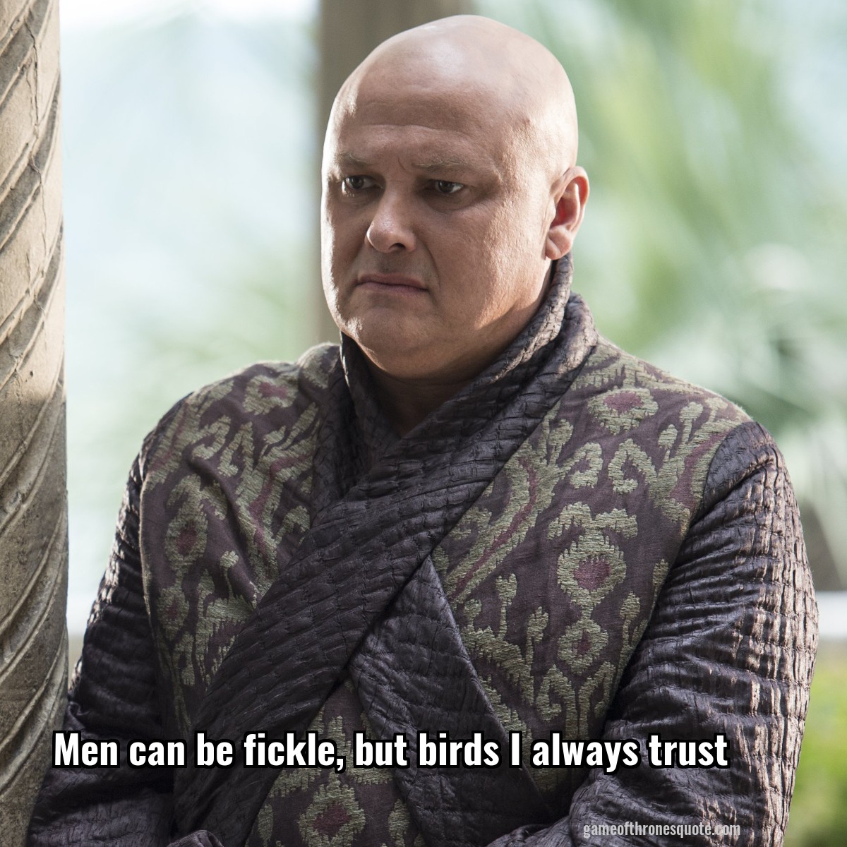 Men can be fickle, but birds I always trust