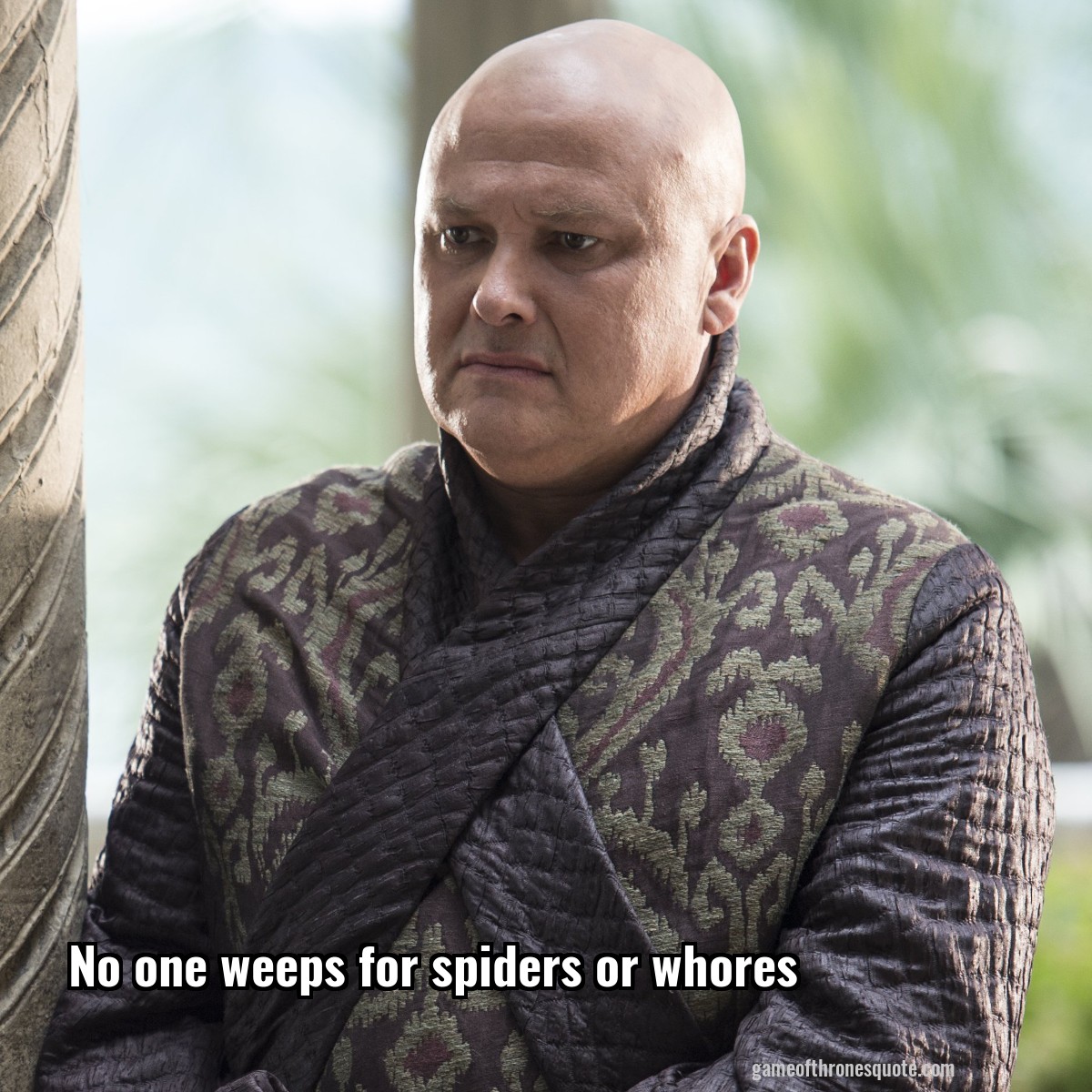 No one weeps for spiders or whores