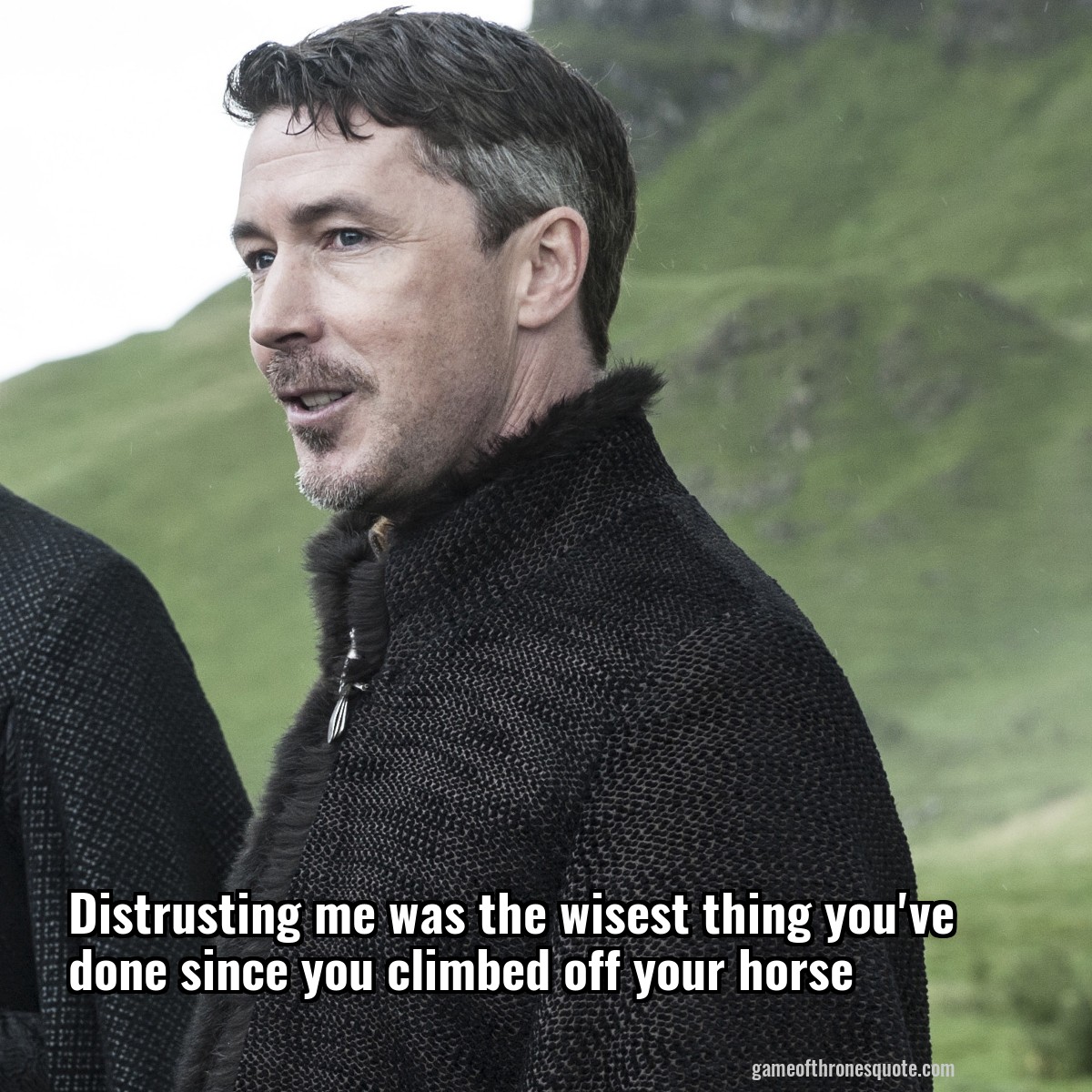 Distrusting me was the wisest thing you've done since you climbed off your horse