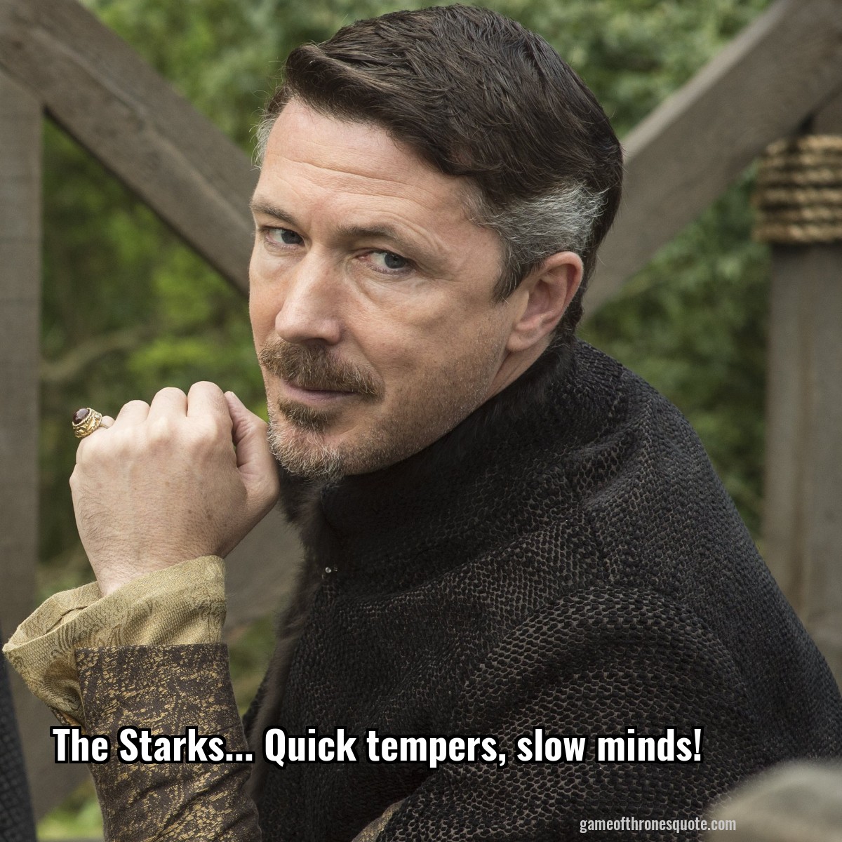 Petyr Baelish The Starks... Quick tempers, slow minds! Game of