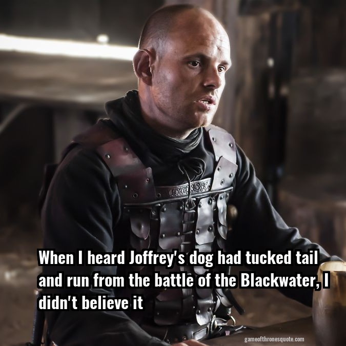 When I heard Joffrey's dog had tucked tail and run from the battle of the Blackwater, I didn't believe it