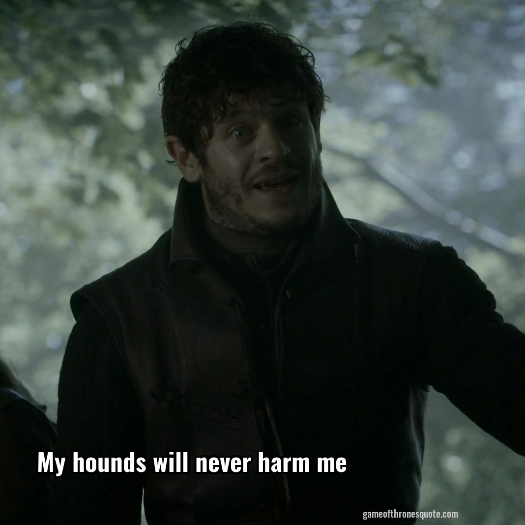 My hounds will never harm me