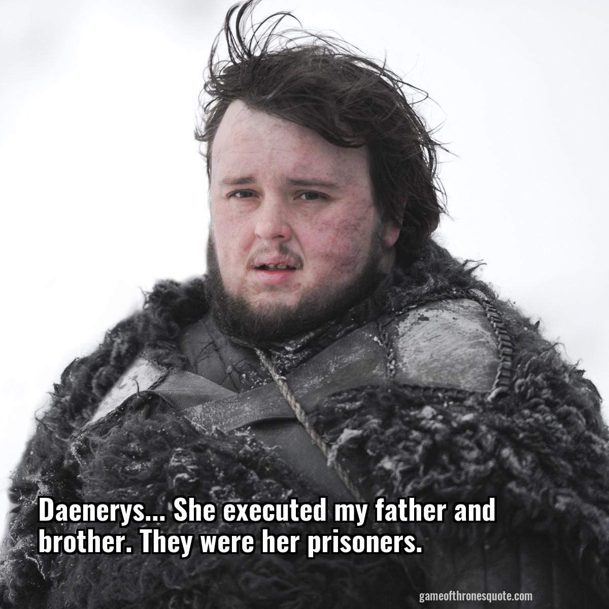 Daenerys... She executed my father and brother. They were her prisoners.