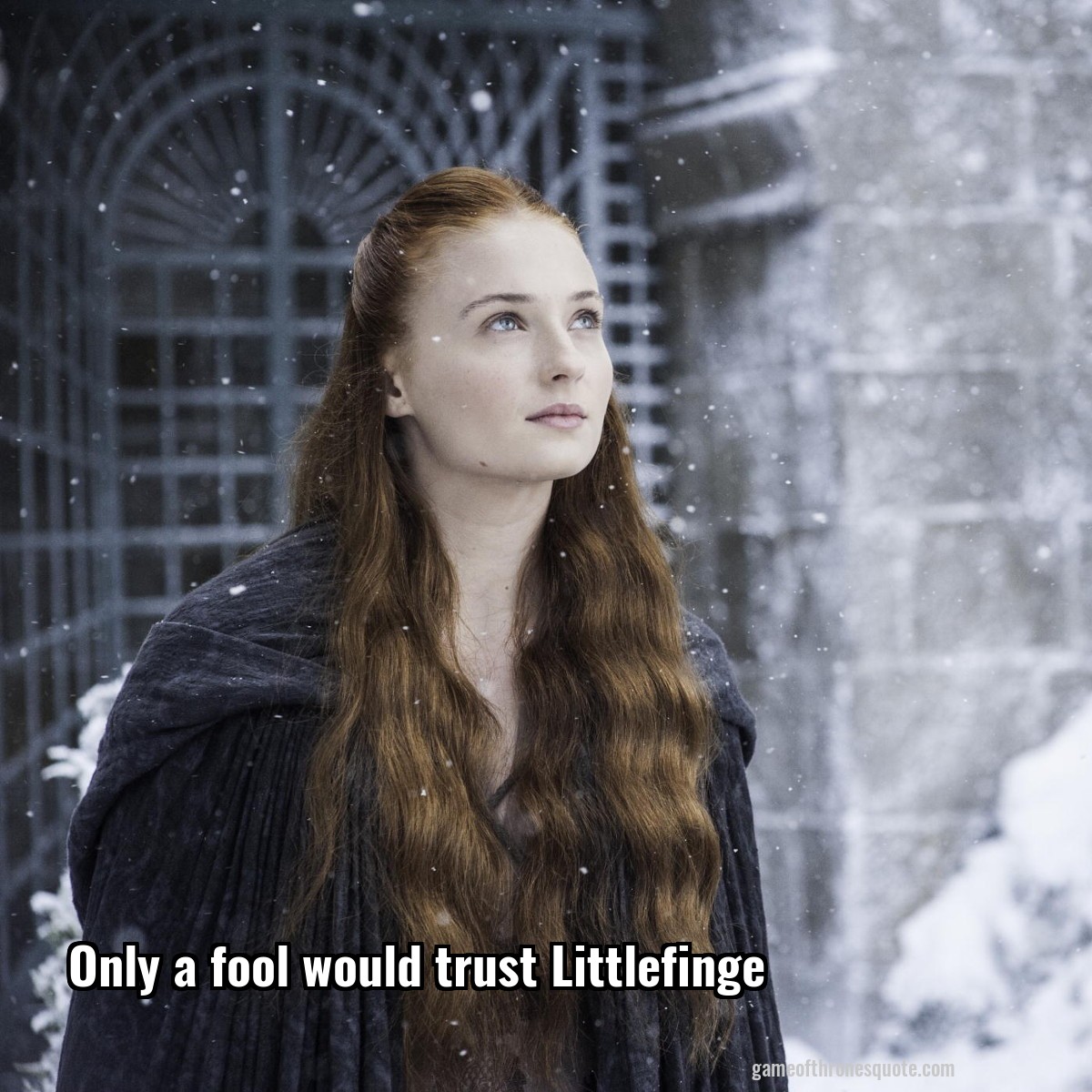 Only a fool would trust Littlefinge